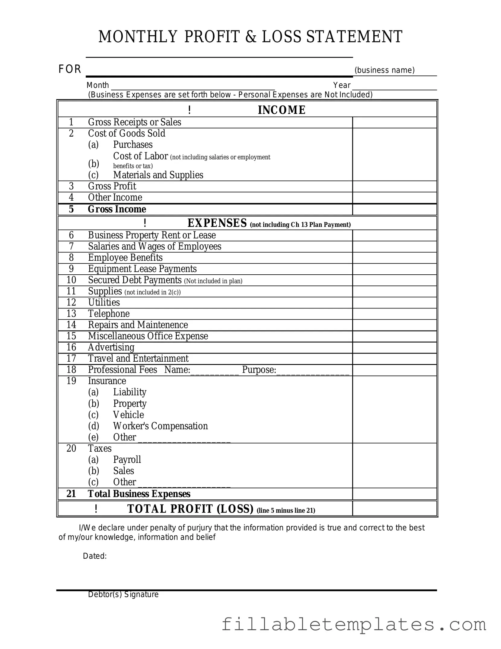 Official Profit And Loss Template in PDF