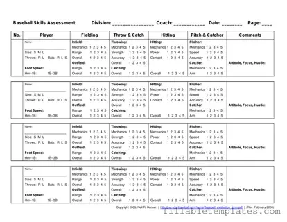 Official Baseball Assessment Template in PDF