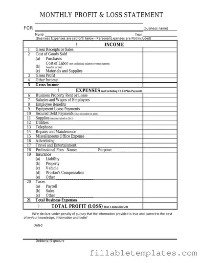 Official Profit And Loss Template in PDF